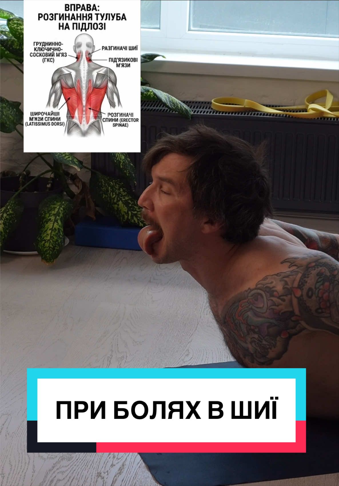 @B I K M A E V