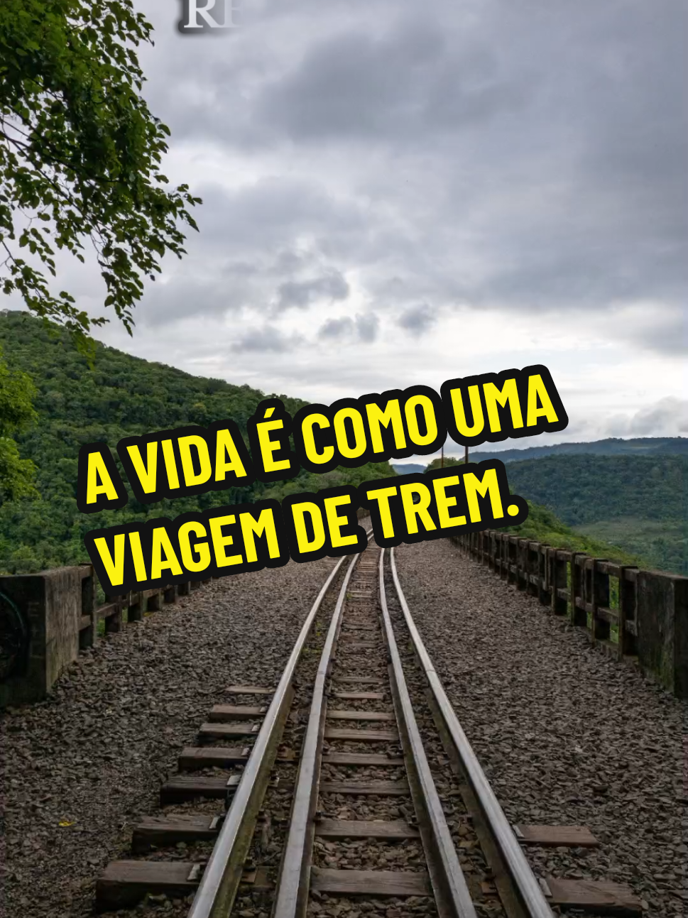@Silvia Helena.