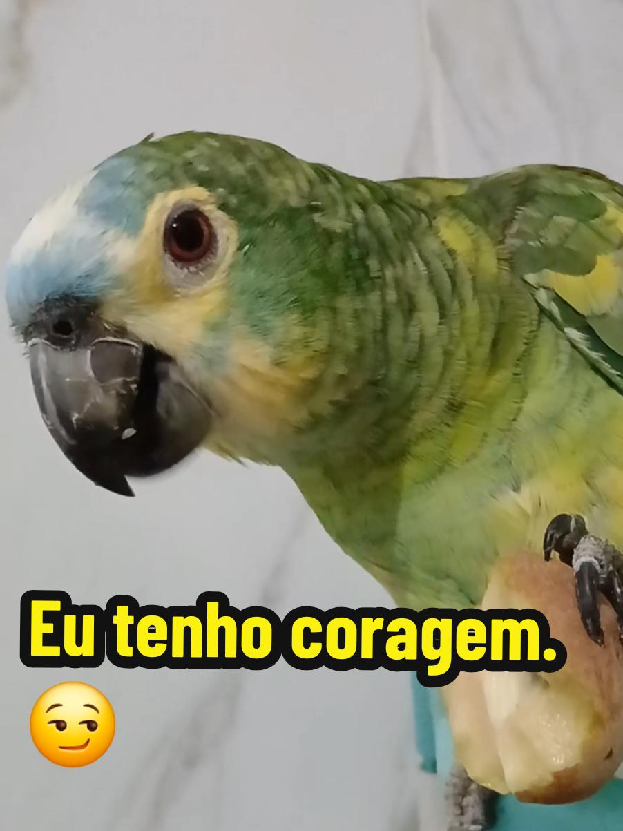 @Papagaio Chico🌽🦜