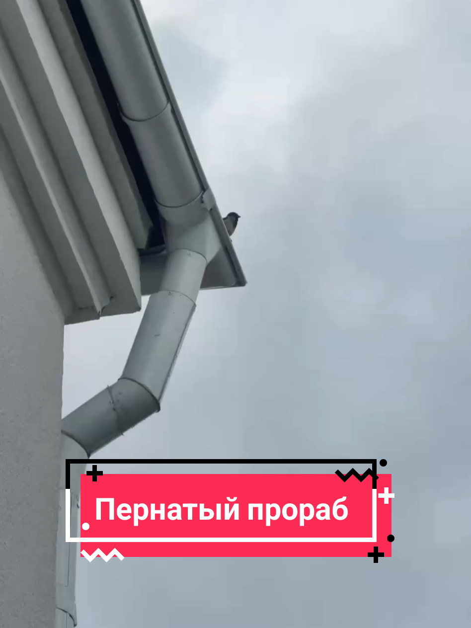 @Dzr.by - Новости Дзержинска