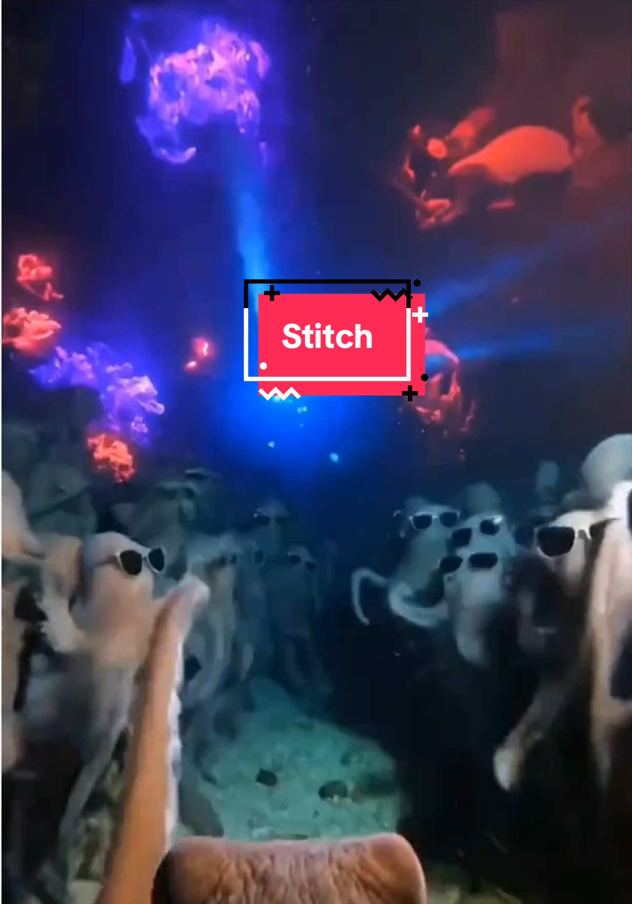 @The Black Mermaid