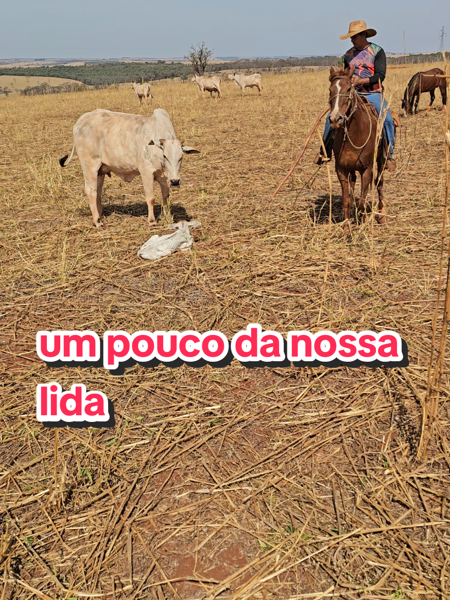 @Geovane neto