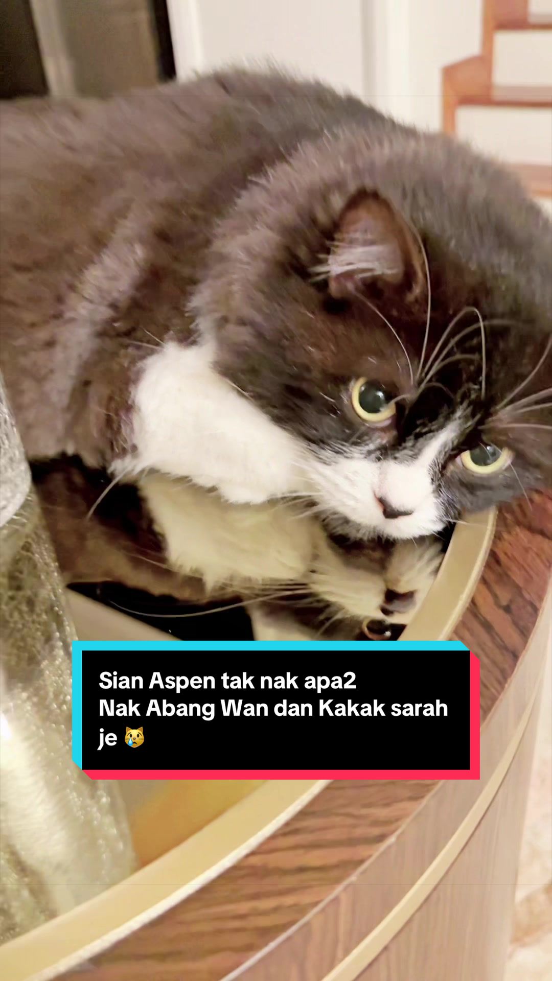 @Haliza Maysuri