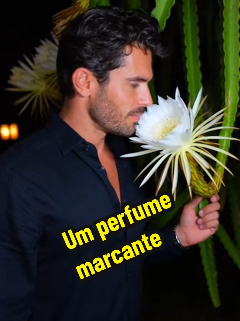 @puremindbrasil