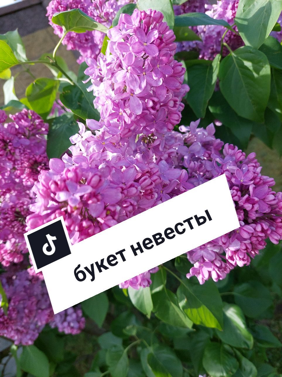 @Рыся✔️🇧🇾