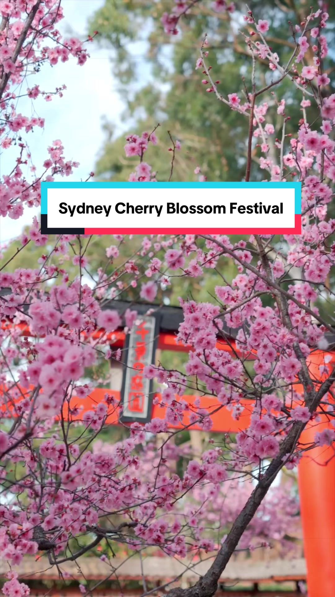 @Sydney