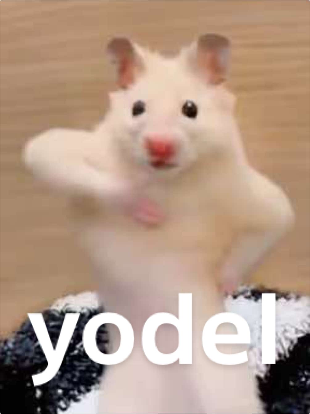 @FCham