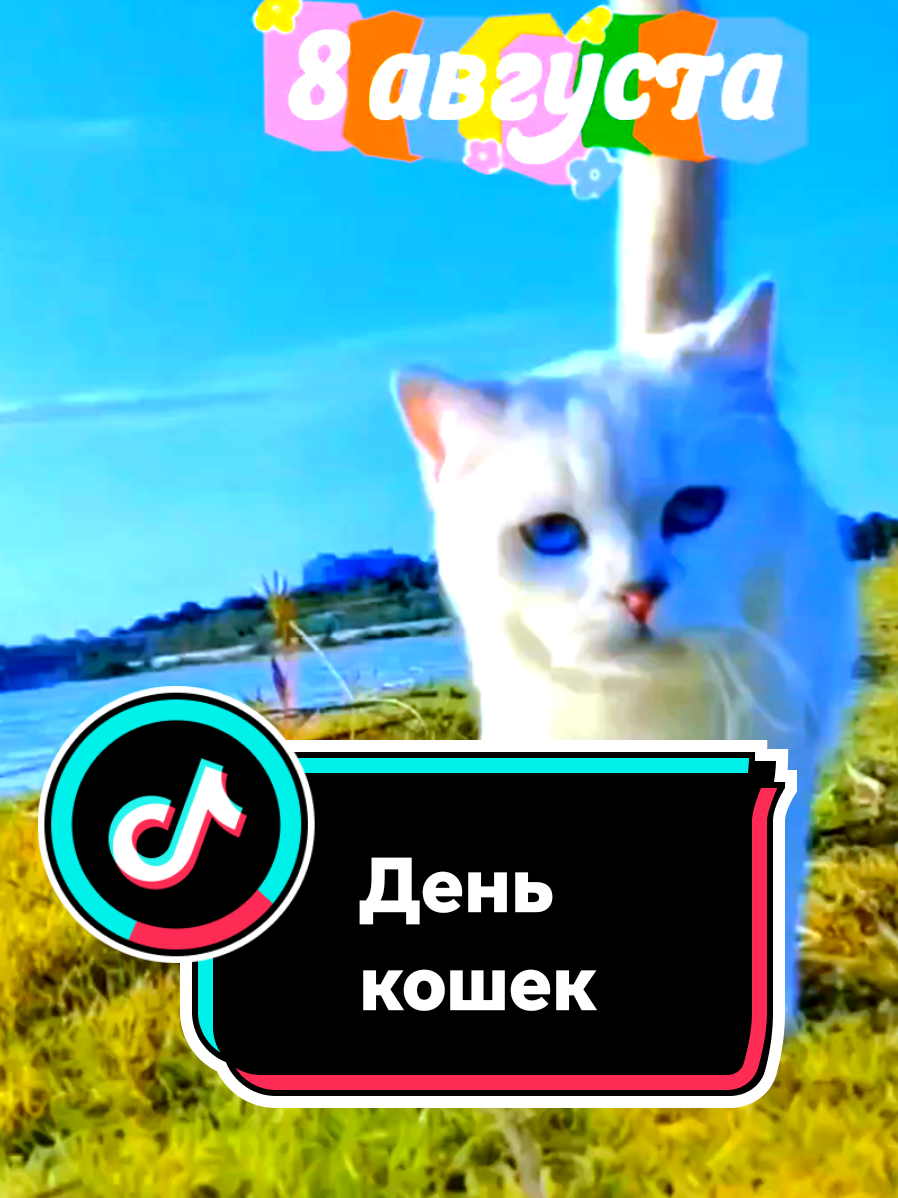 @꧁༺ 𝓛𝓮𝓷𝓸𝓬𝓱𝓴𝓪 ༻꧂