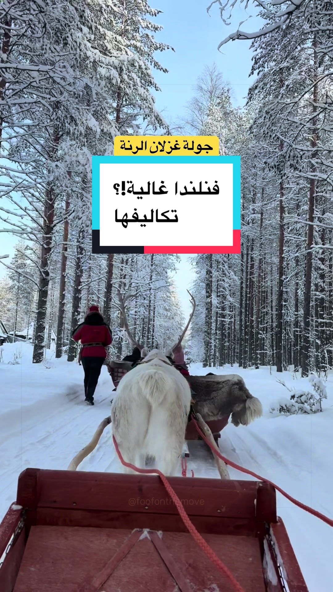 @Wafaa