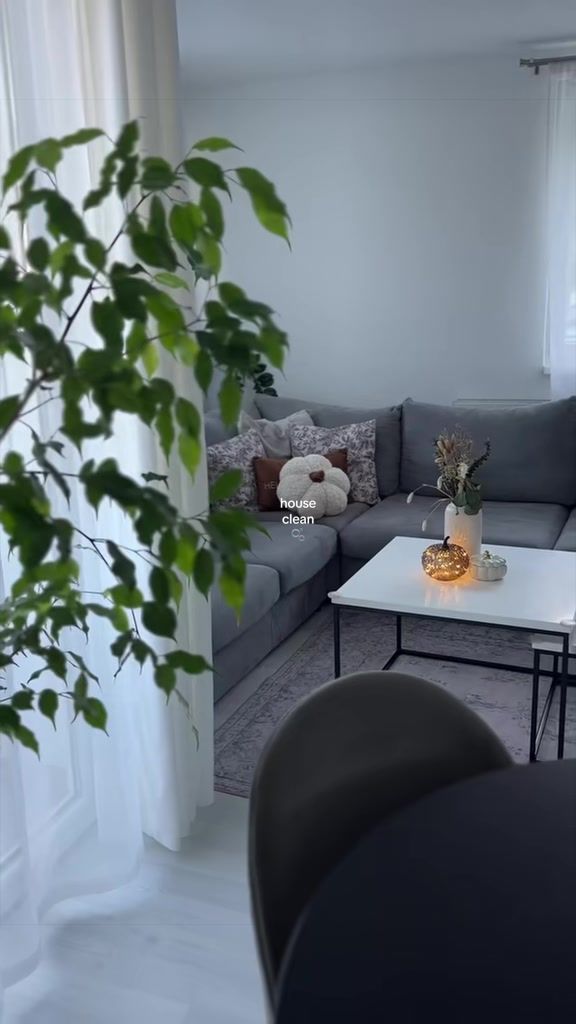 @dzeni_home