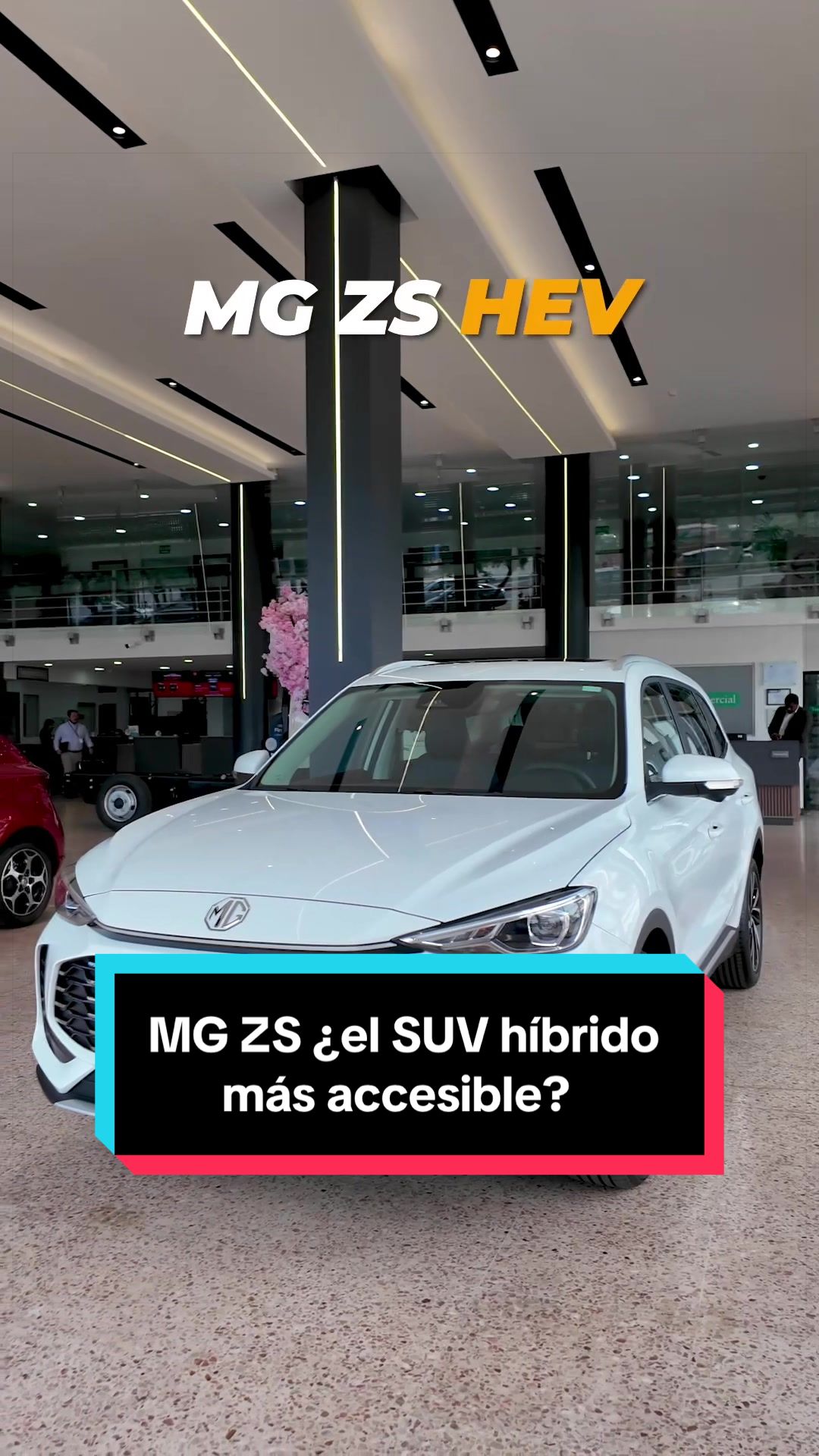 @José David Araujo