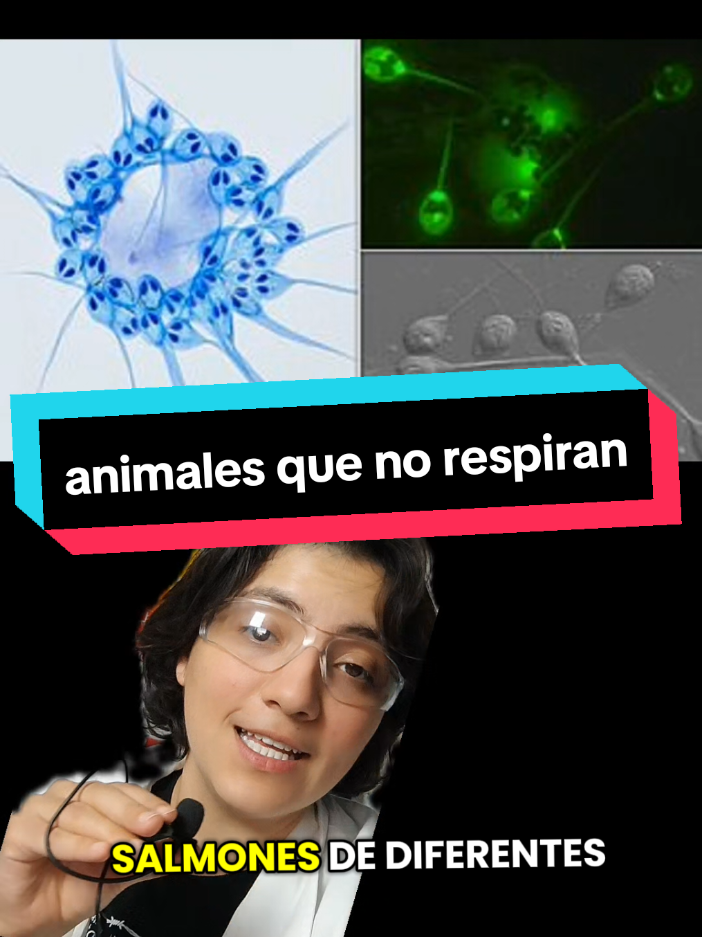 @Polli Padilla