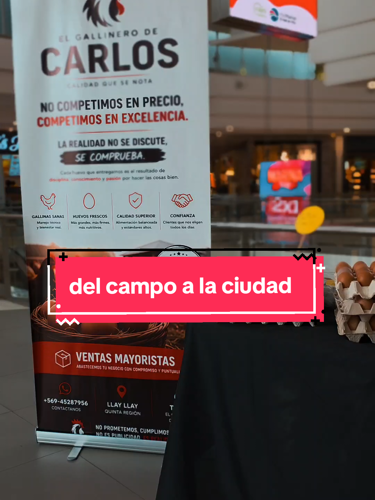 @El Gallinero de Carlos