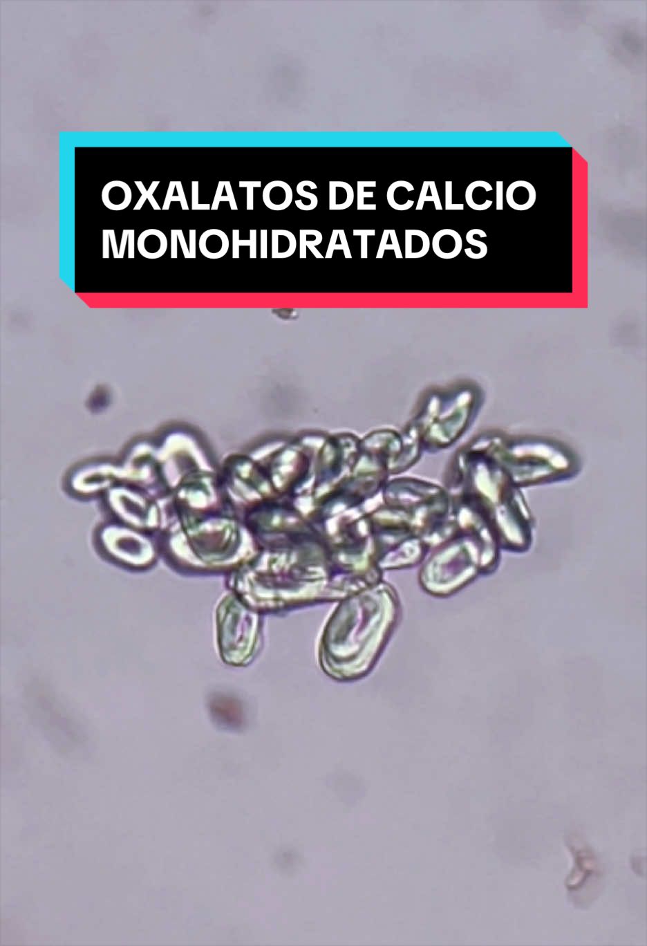 @ALab 🔬💉🩸