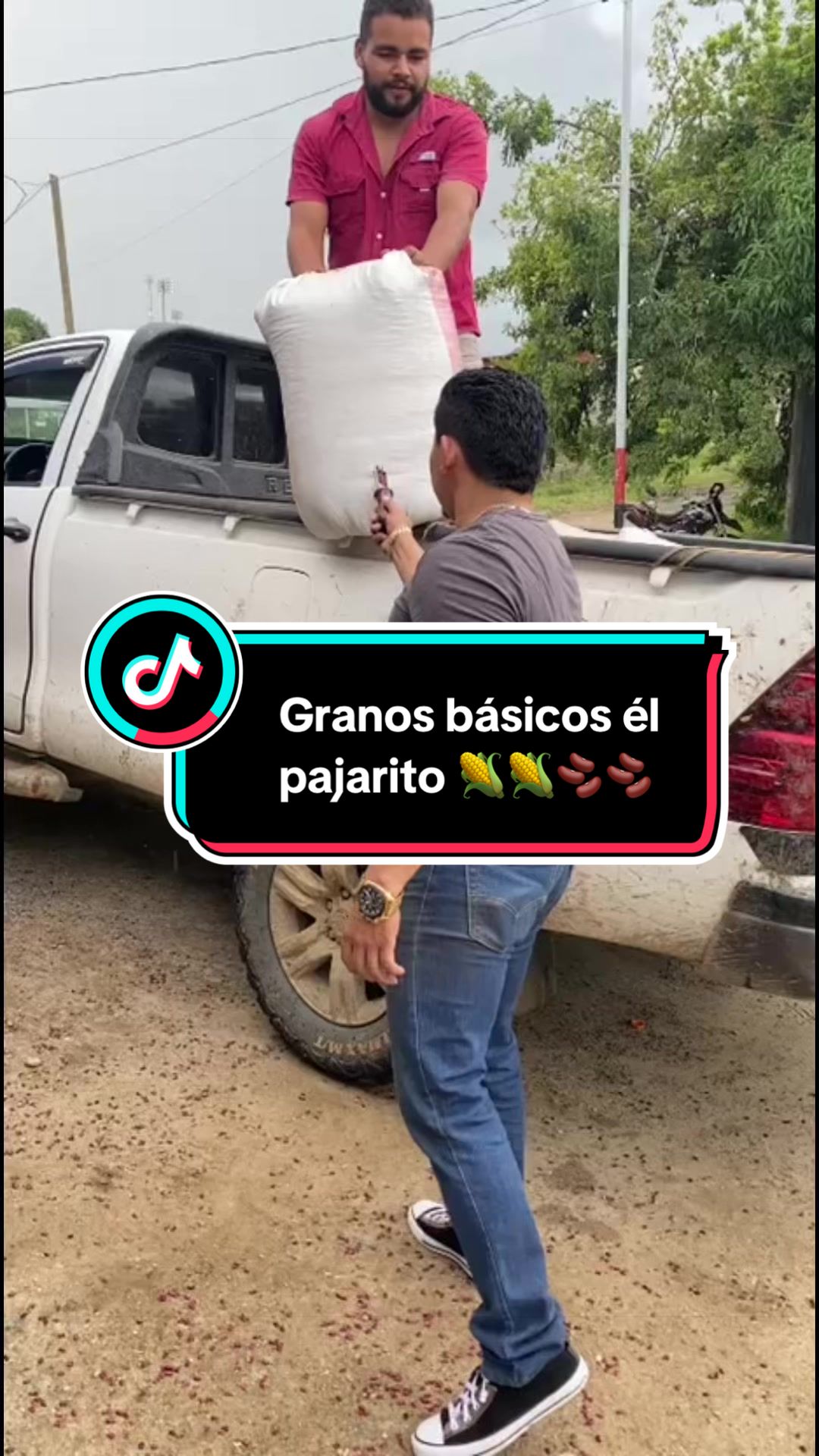@Granos básicos él pajarito 🌽