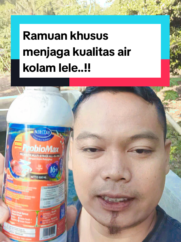 @Kang_Ewi