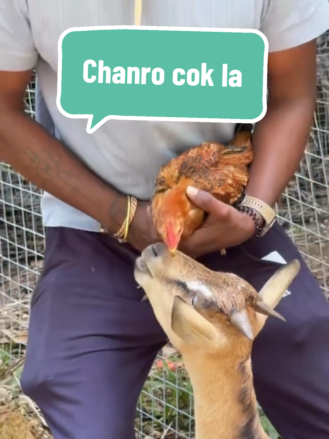 @Jah