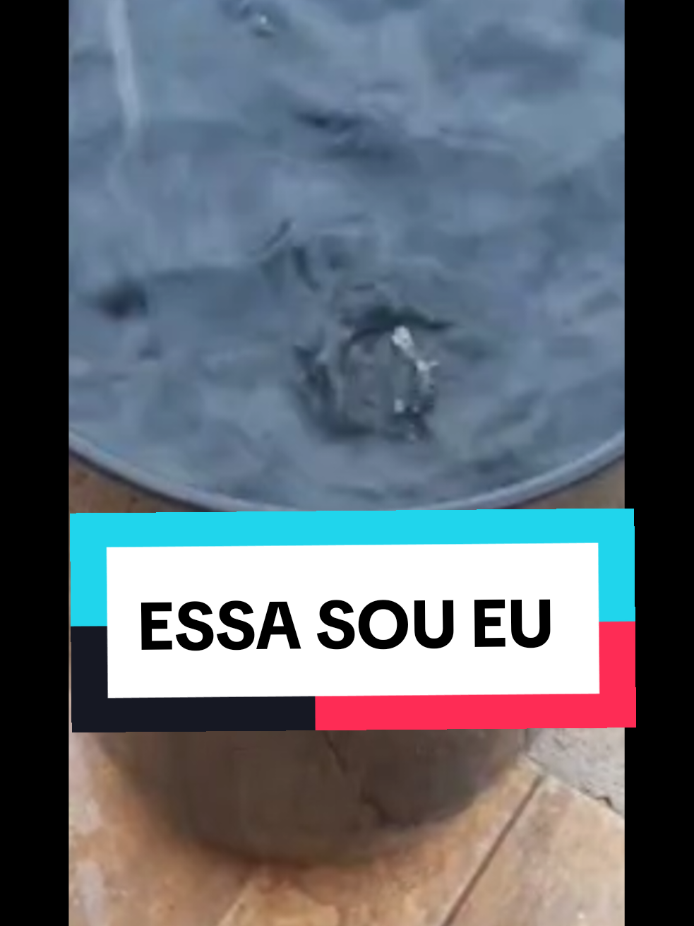 @Acácia Crispim