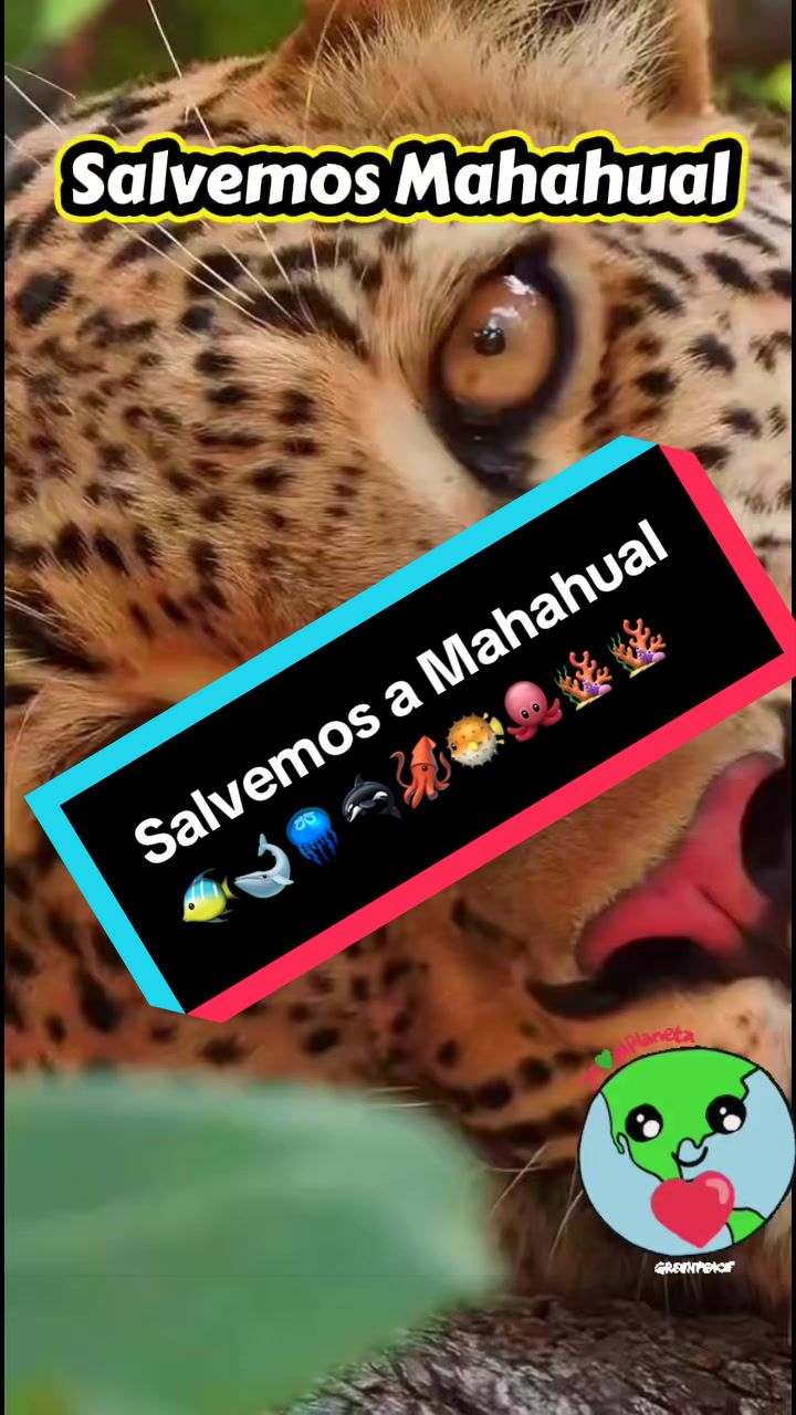@Daisicytas ✨💙&hearts;️🫶🏻🐶