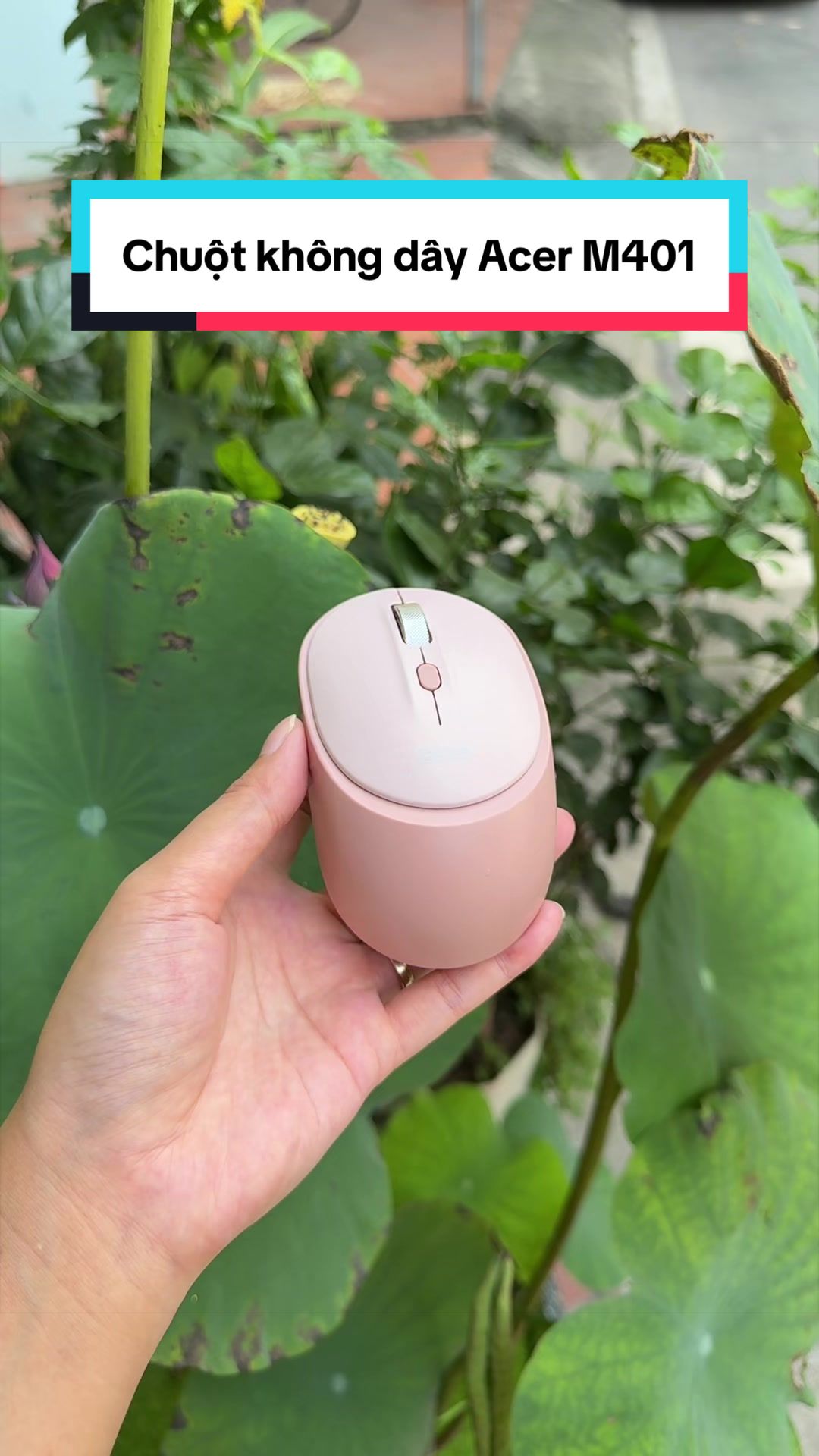 @Tuấn Bình Thường