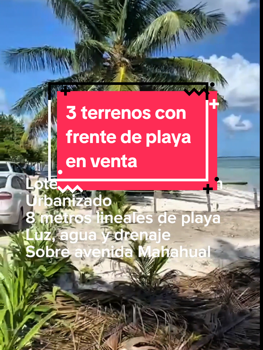 @Jose Chein - Bienes Raices