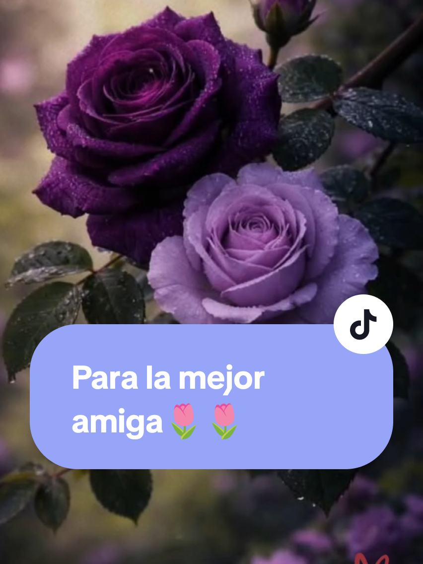 @𝓛𝓾𝓬𝓲 𝓟𝓲𝓶𝓮𝓷𝓽𝓮𝓵🌙🔮