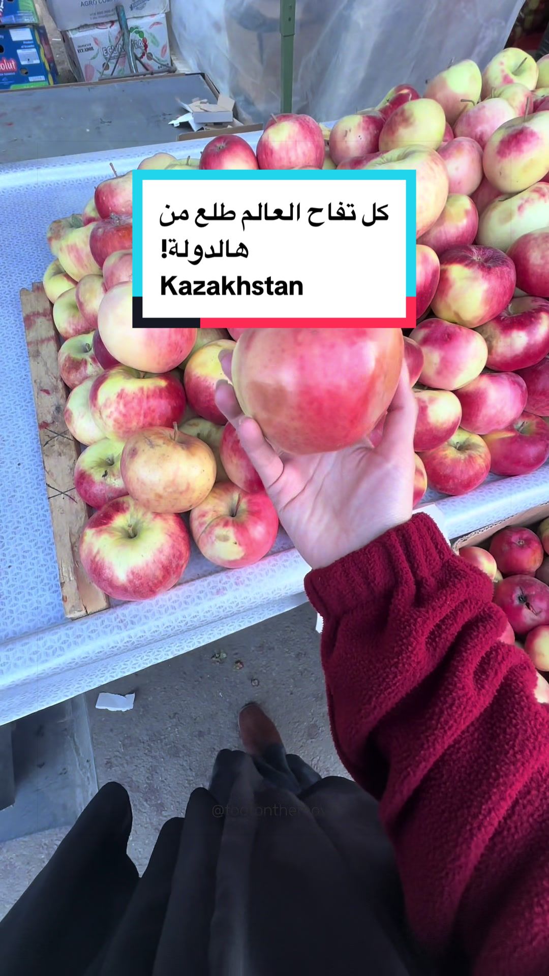 @Wafaa