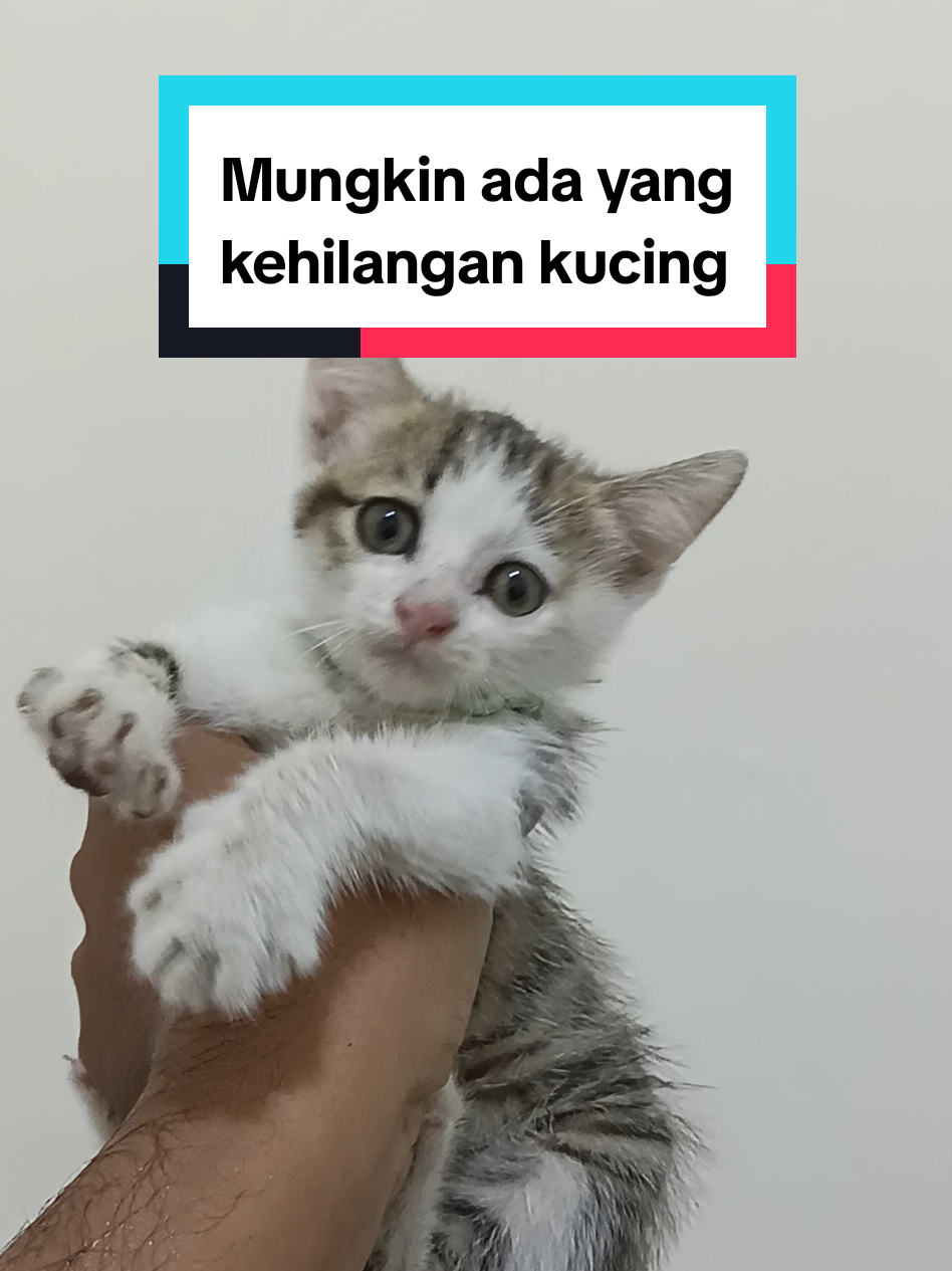 @Fend