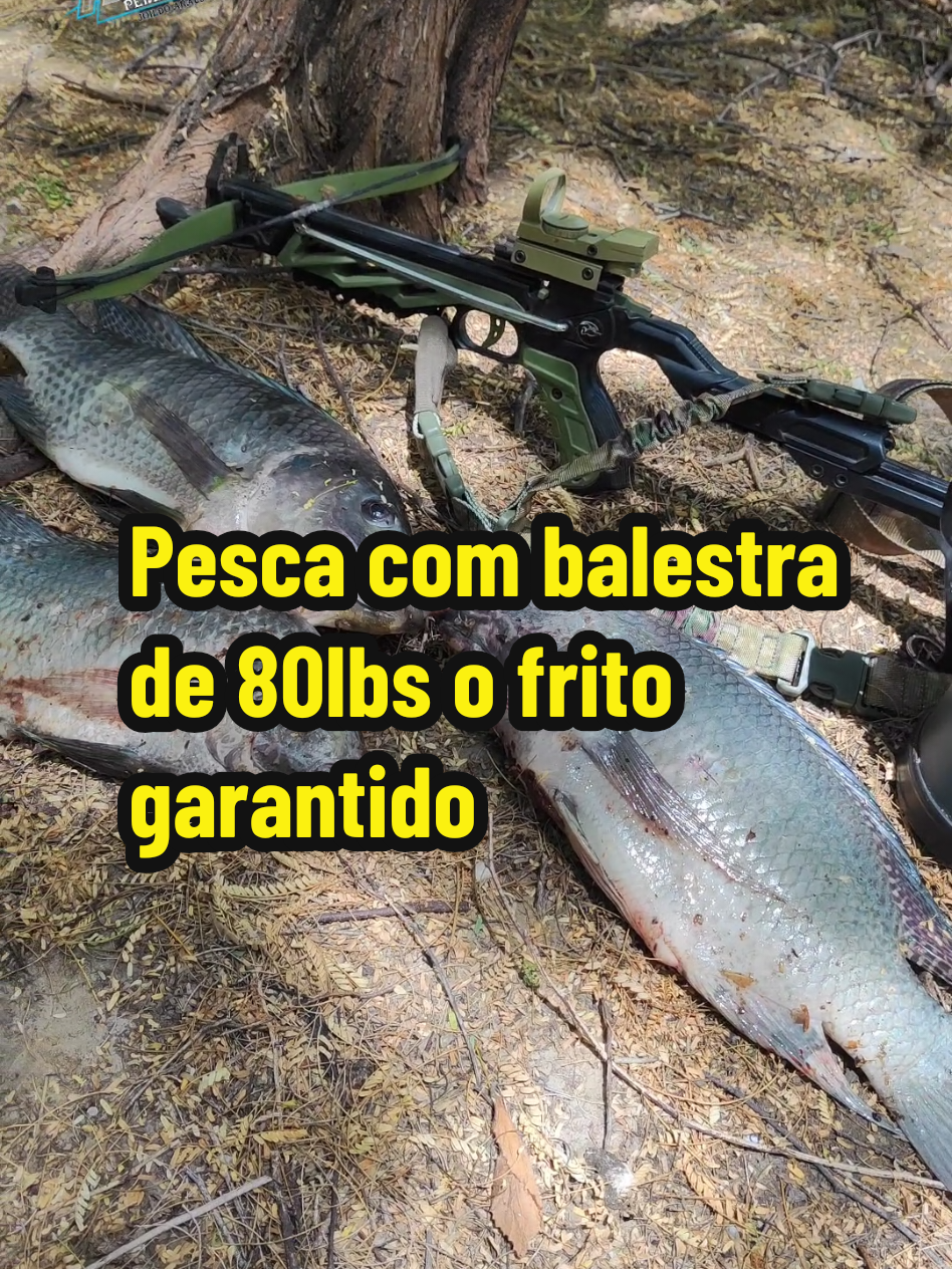 @Joildo Araujo
