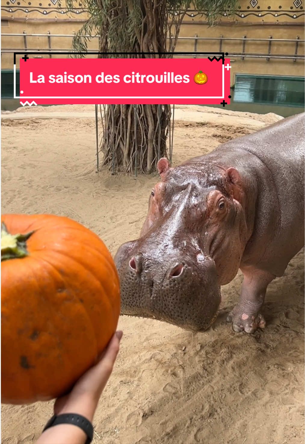 @Zoo de Granby