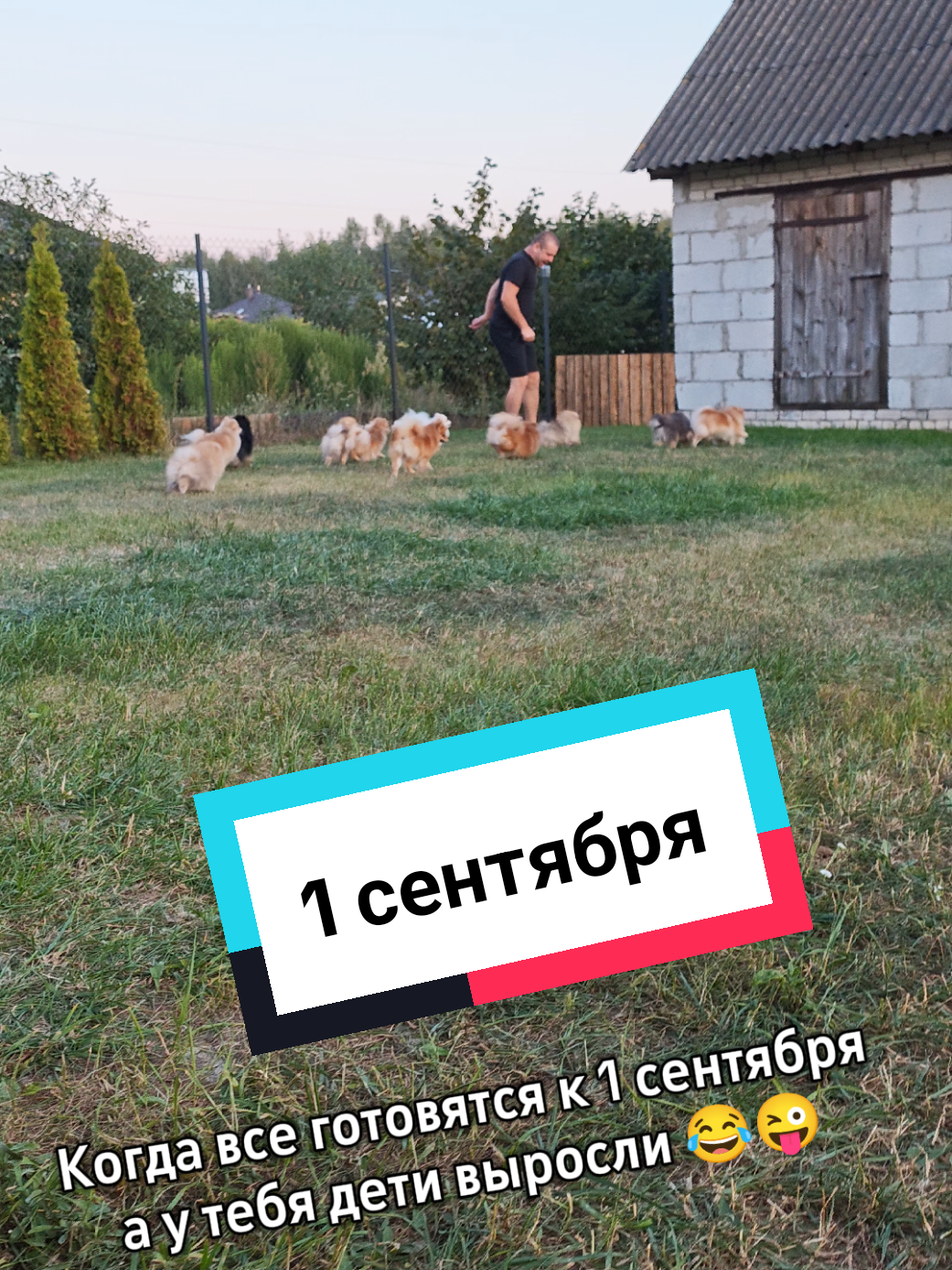 @Veronika Tkachuk