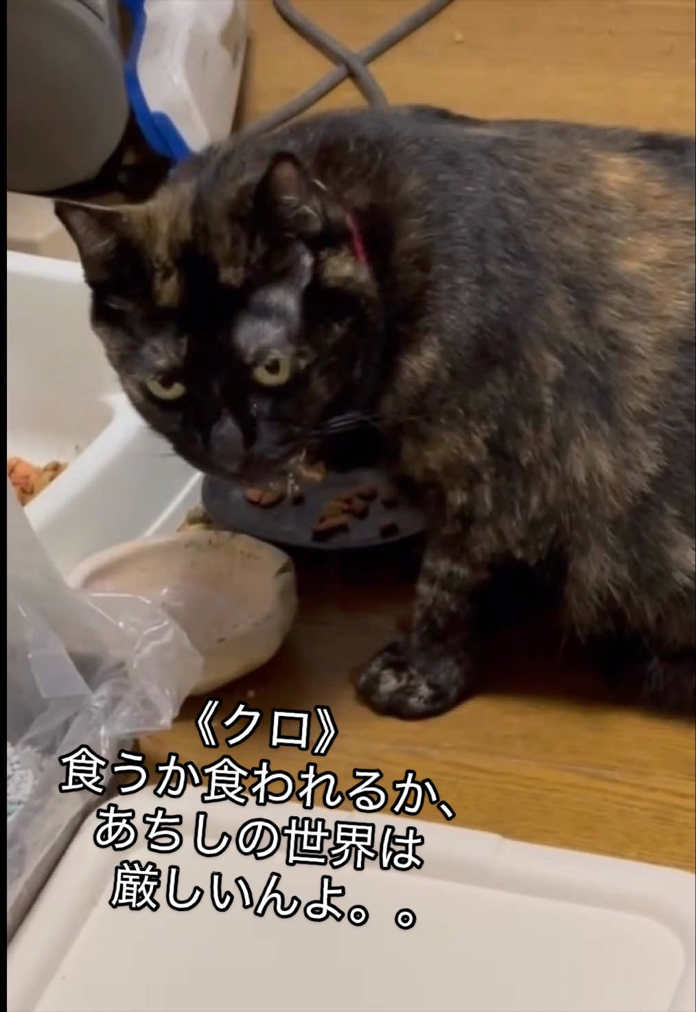 @聴々物語PROJECT