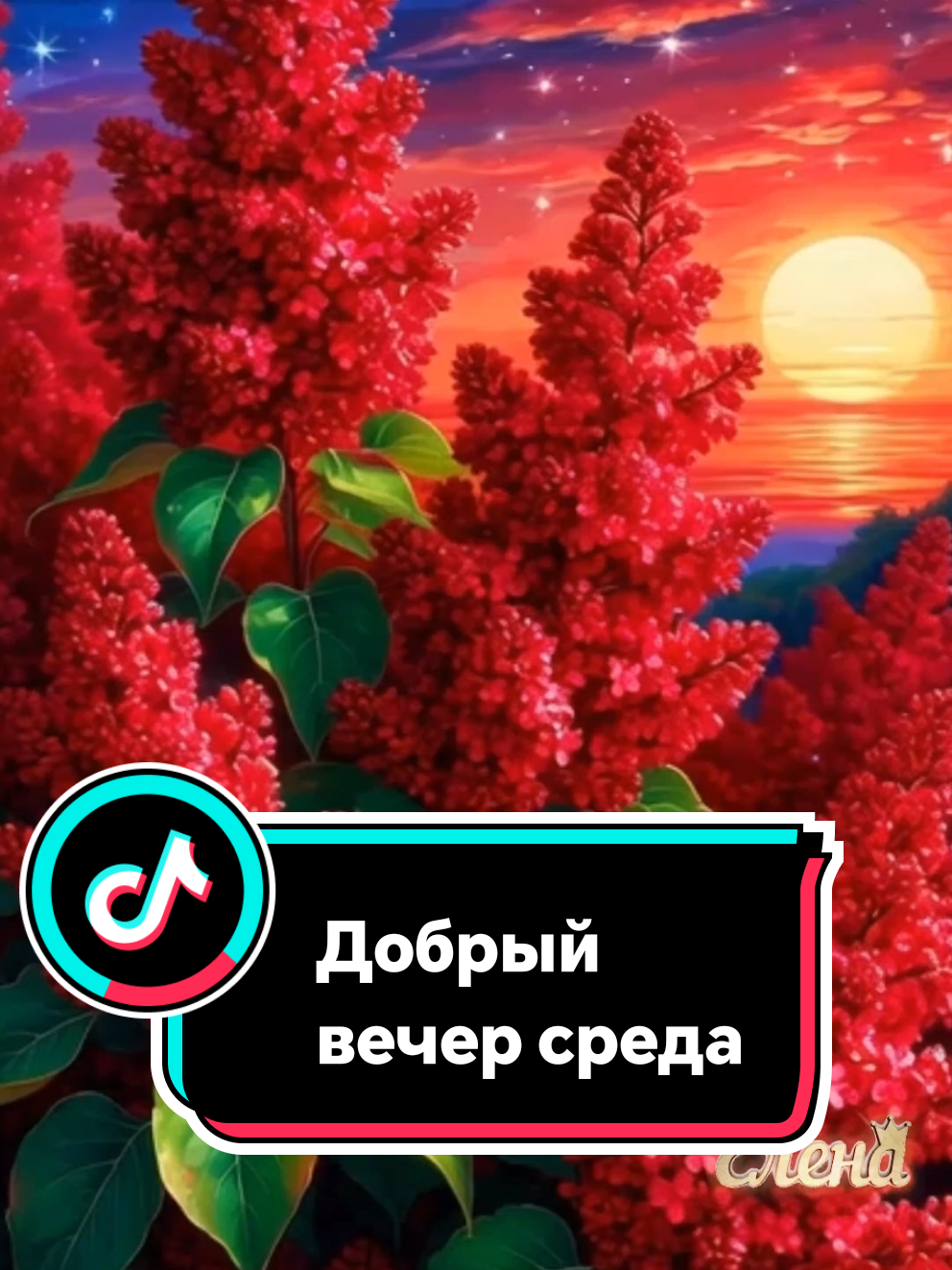 @🌟🔥Елена🔥🌟