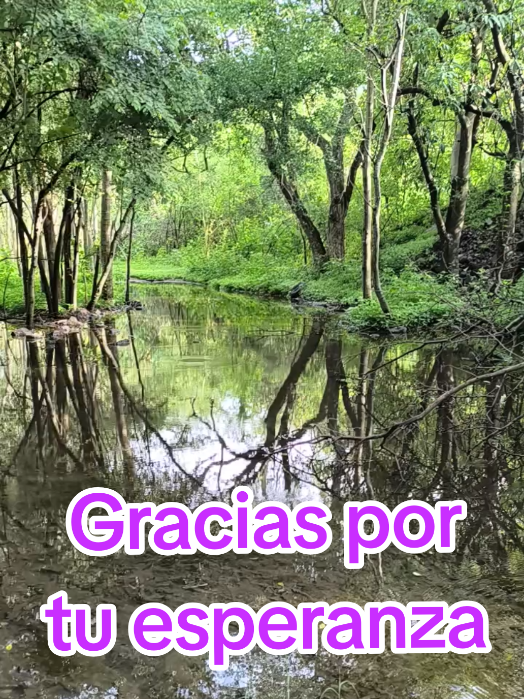 @RAÚL FL💙