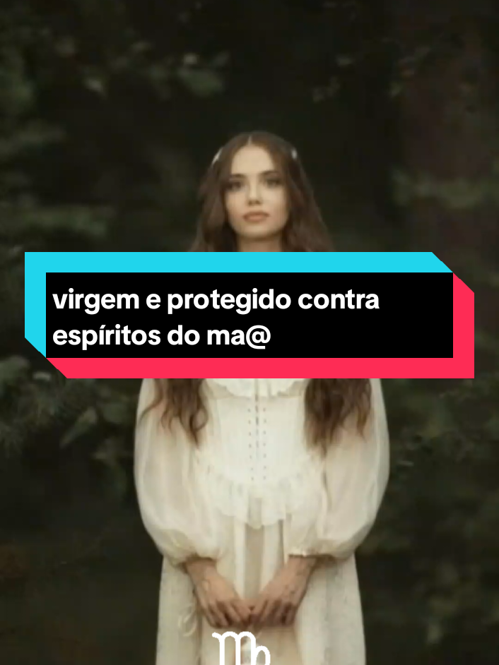 @tudosobreos12signos_virginiana