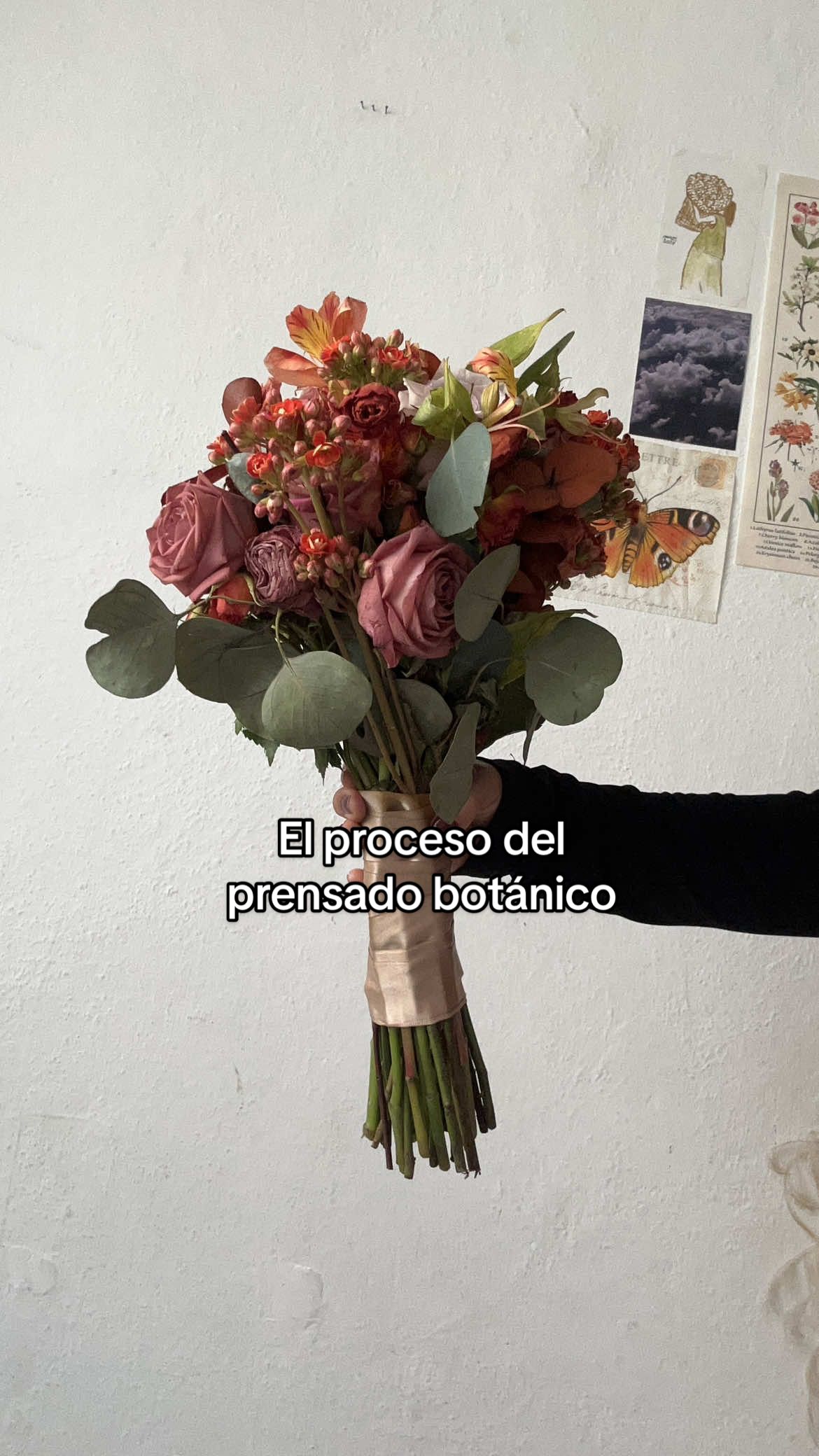 @Flora Terrenal
