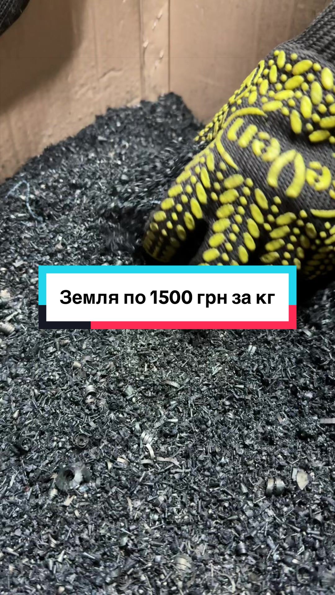 @Tik Tok прийомка