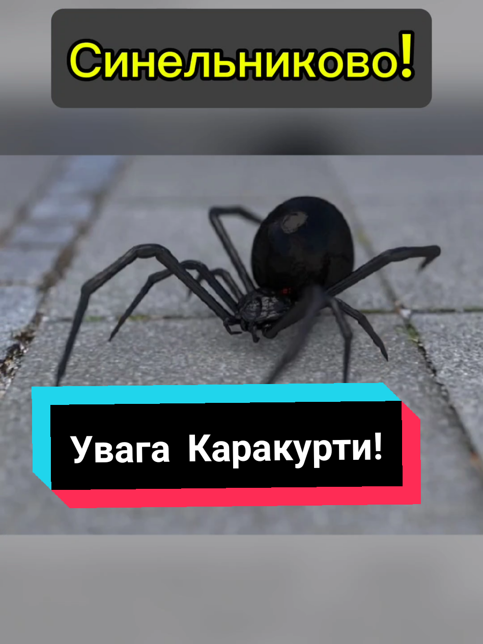 @Анатолій ТД Сварог агро
