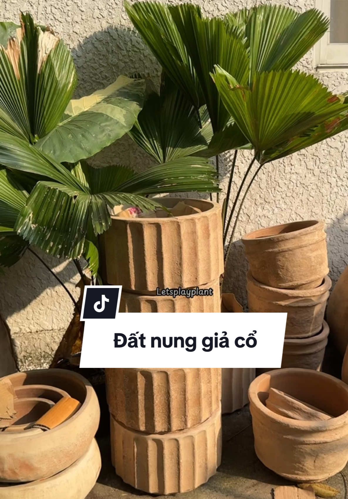 @T&uacute; Nhi - Let's play plant