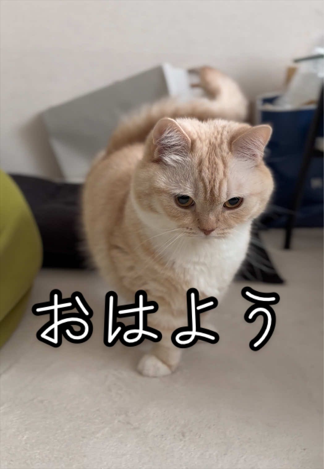 @縫くんと私