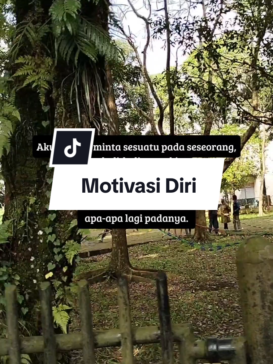 @Adivashop