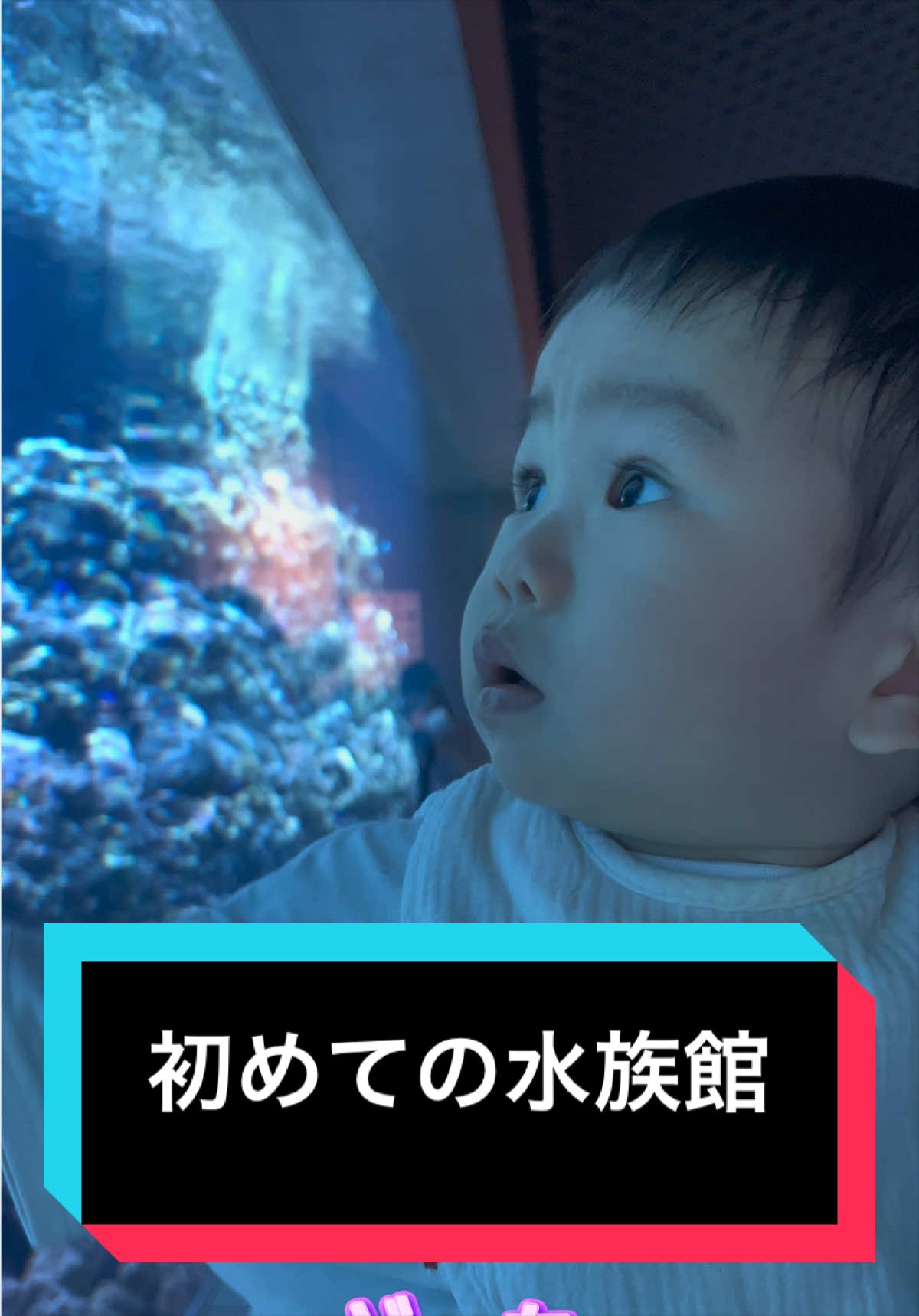 @とらままんち