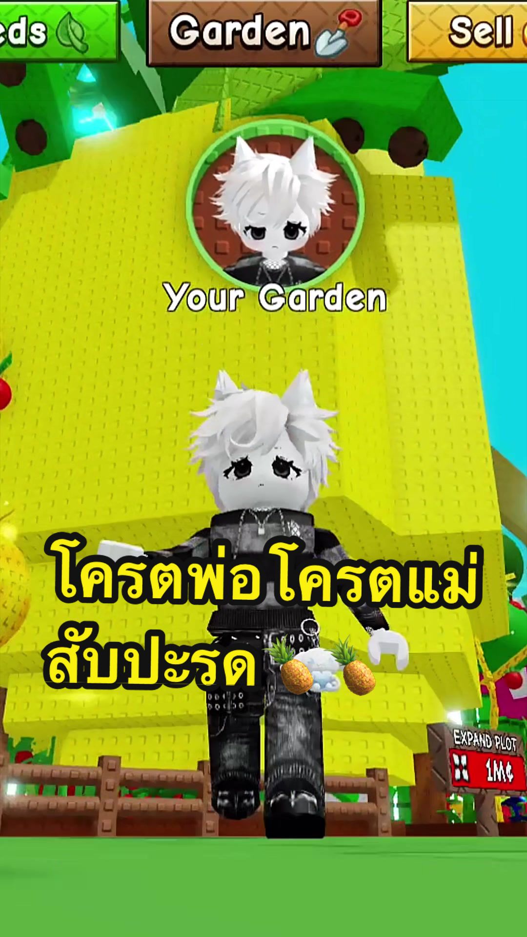 @BungearnKIKI🐦&zwj;⬛🍎