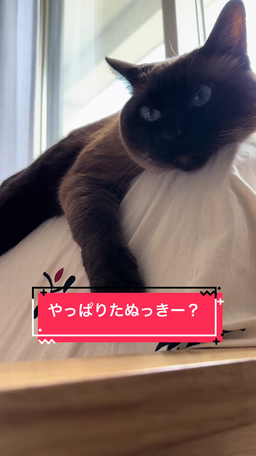 @うちのコレンジャー
