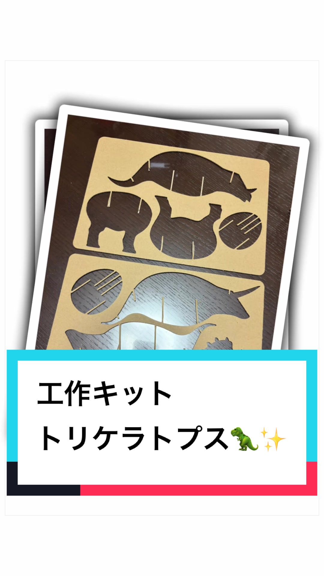 @ダンボール王子🌏♾️🐦&zwj;🔥