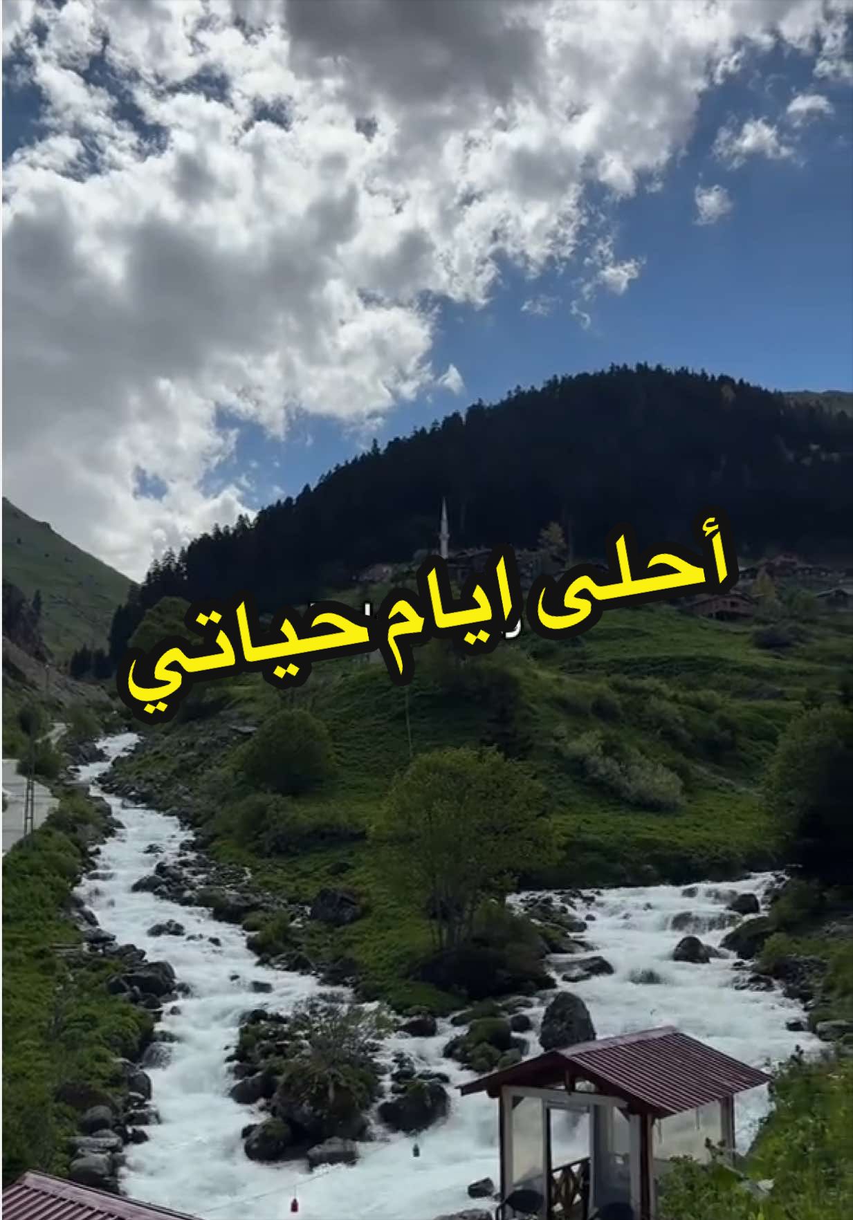 @رند حكمي | مـوثـوق🥇