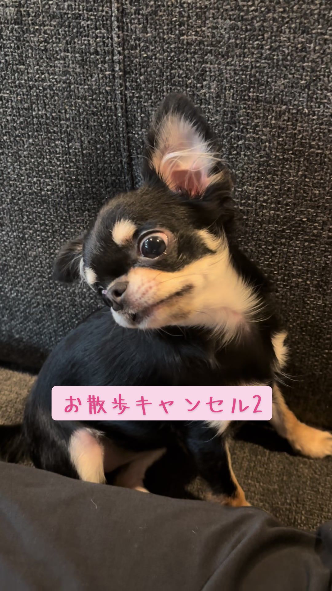 @ちぃちゃん🪽🎀