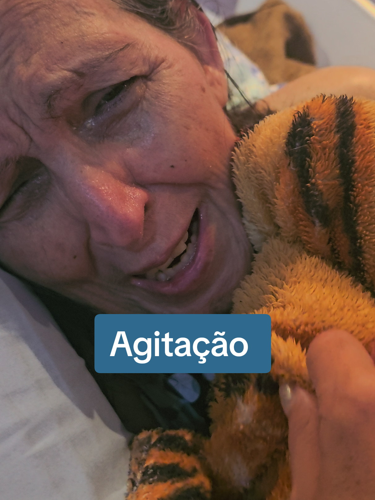 @🧠Val&eacute;rinha & Tat&aacute;
