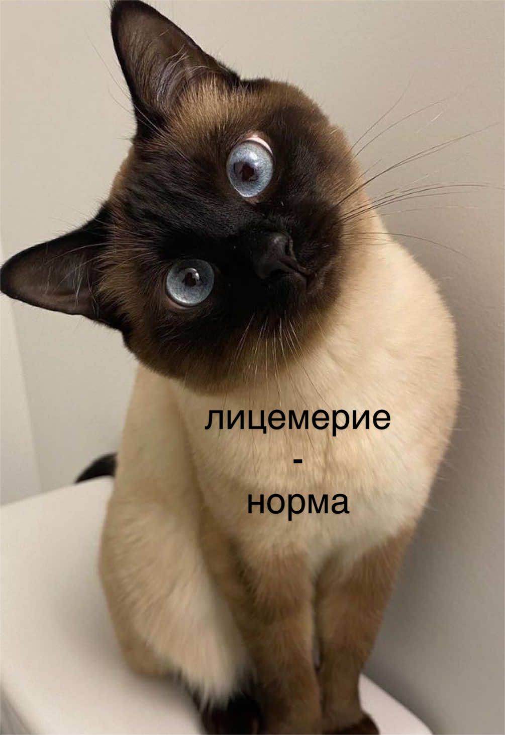 @мамин хep