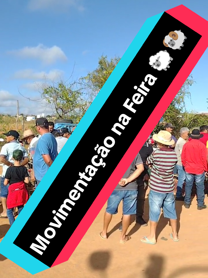 @Patricio do Ceará 🌵